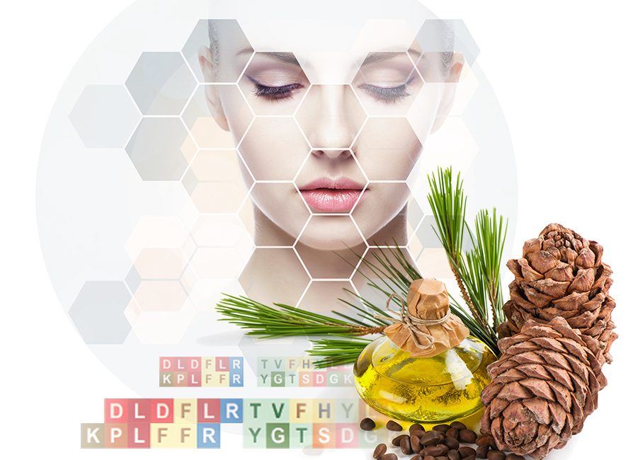 Lipoid Kosmetik: PhytoCodine® & SLM Eco